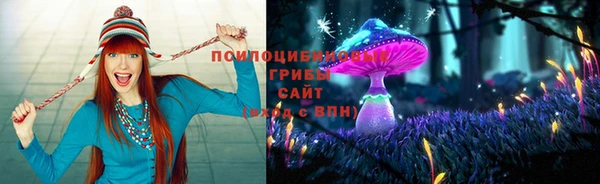 наркотики Алексин