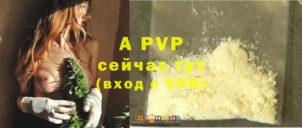 дживик Абинск