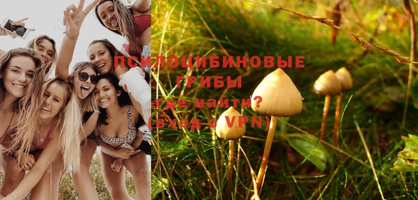 дживик Алзамай